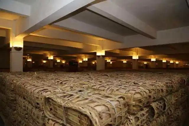 云南古樹普洱茶好在哪？相比小樹茶、臺地茶有何不同？