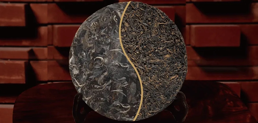 一入普門深似海？入普洱門前，你需要了解這些