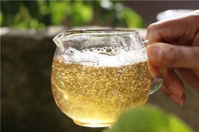 茶顏觀色”，看普洱茶條索里都蘊(yùn)含著怎樣的“密碼”？