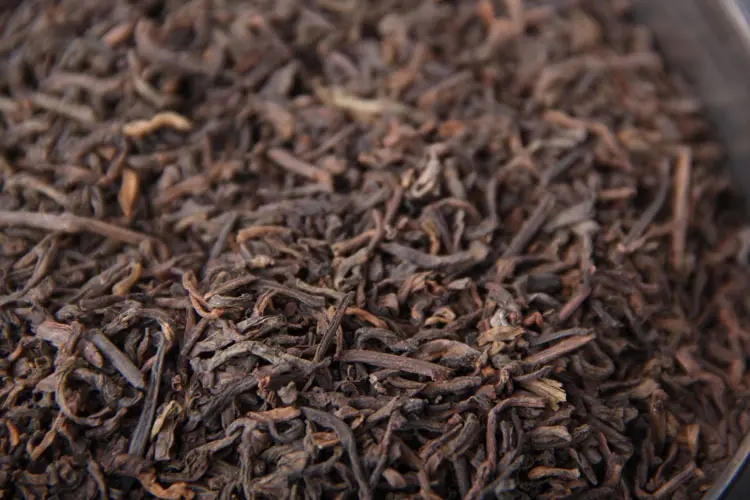 品懂熟茶丨新制的熟茶怎么品評(píng)？