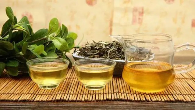 女人經(jīng)常喝茶的好處有哪些