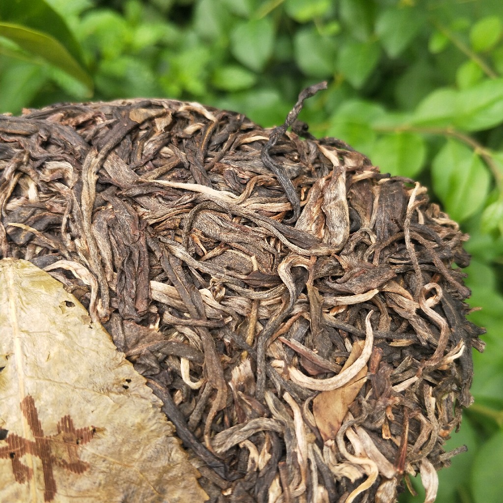 2023年班盆古樹春茶多少錢一公斤？