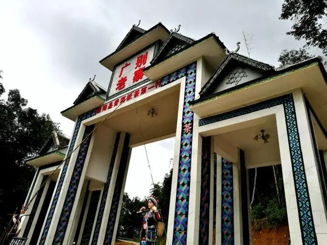 2023年廣別老寨古樹春茶品質(zhì)如何？