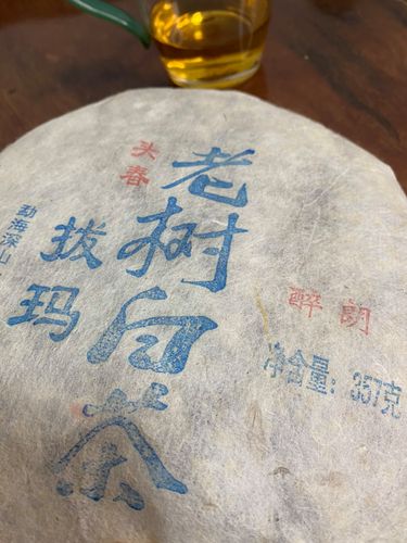 2023年拔瑪老寨古樹春茶口感如何？