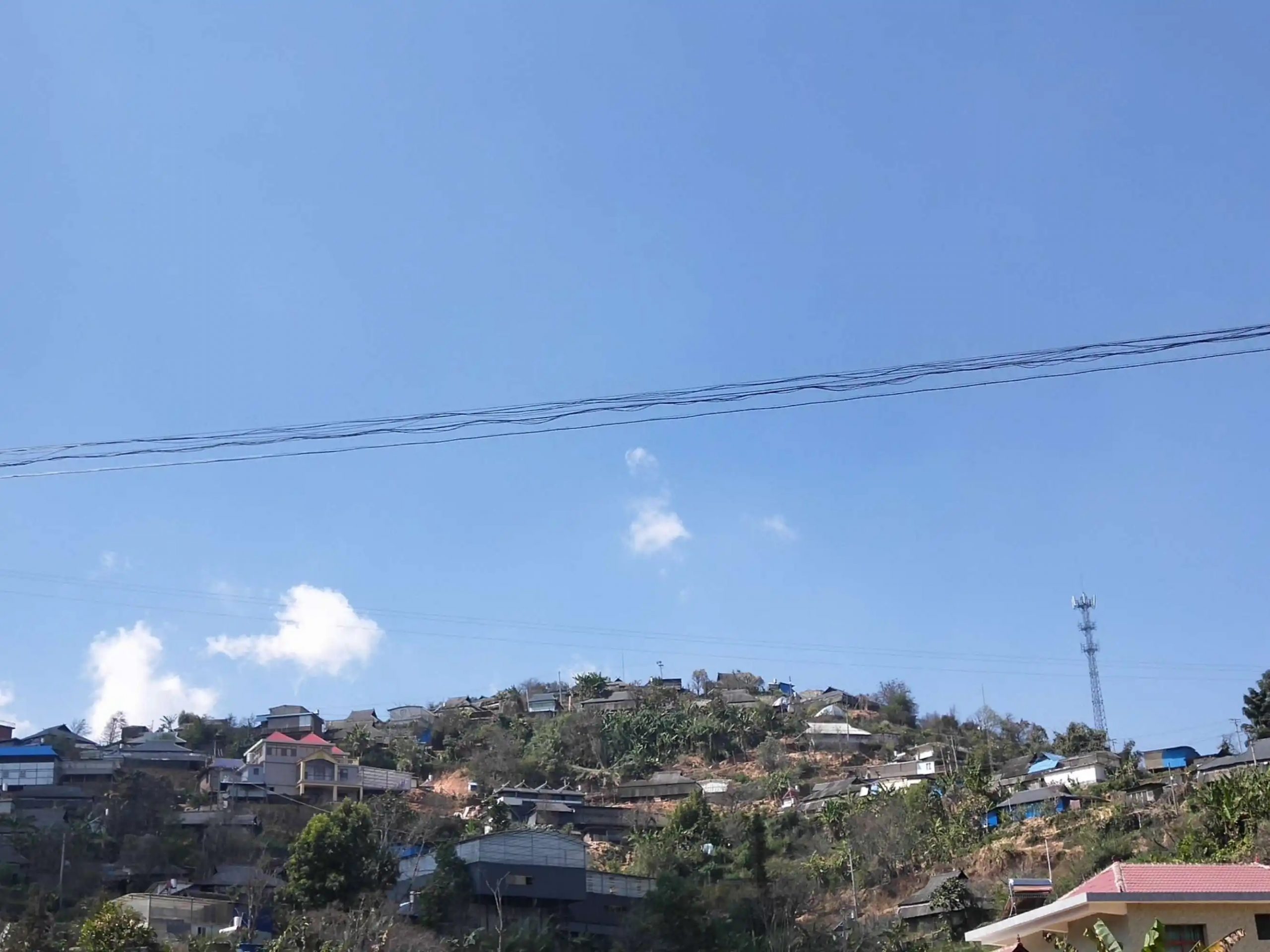 2023帕沙古樹春茶特點是什么?