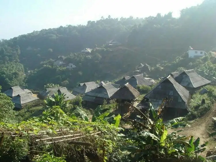 2023年帕沙古樹春茶多少一公斤？