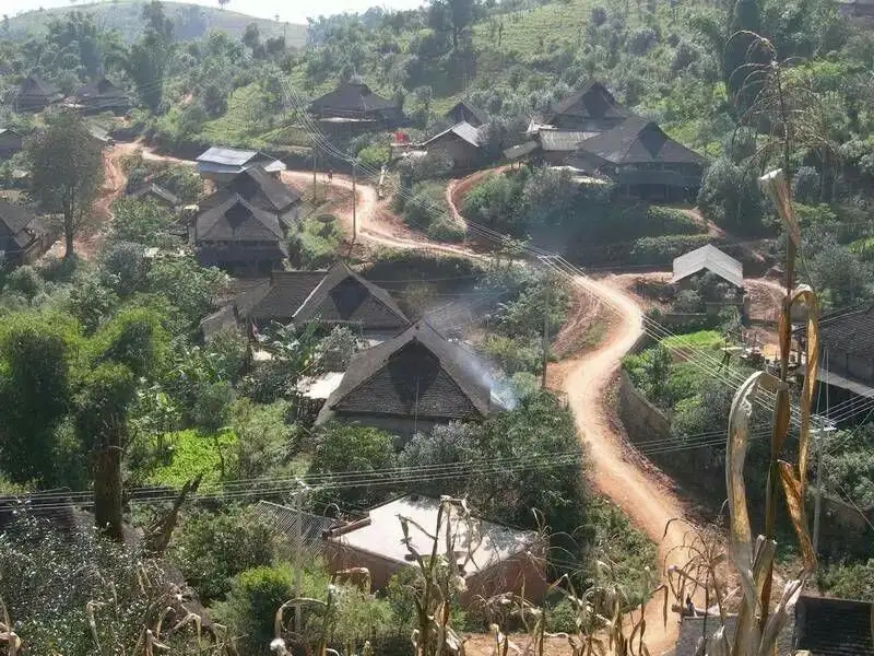 2023年保塘老寨古樹(shù)春茶品質(zhì)如何？