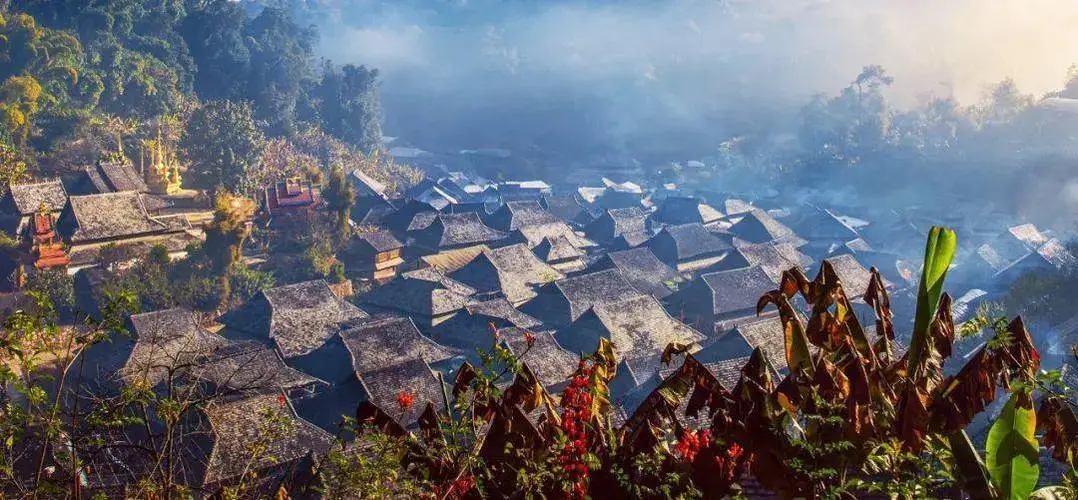 2023年景邁古樹春茶品質(zhì)如何？