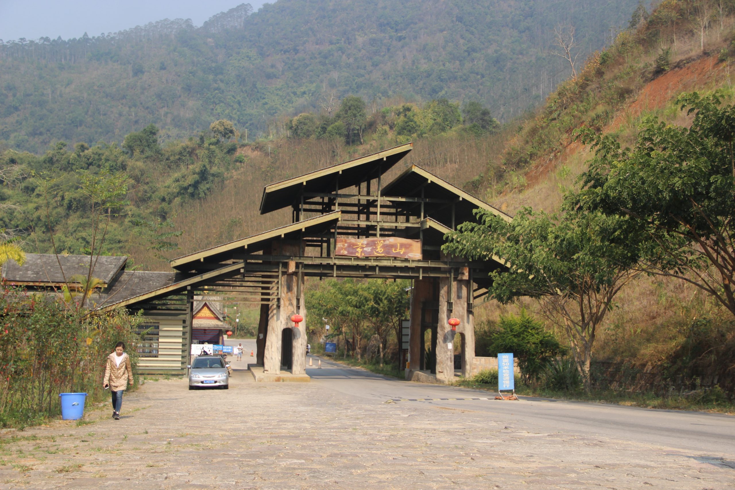 2023年景邁古樹春茶口感如何？