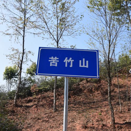 2023年苦竹山古樹春茶品質(zhì)如何？