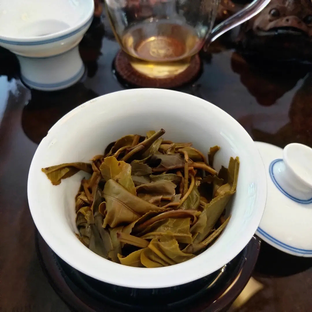 2023年昔歸古樹春茶口感如何?