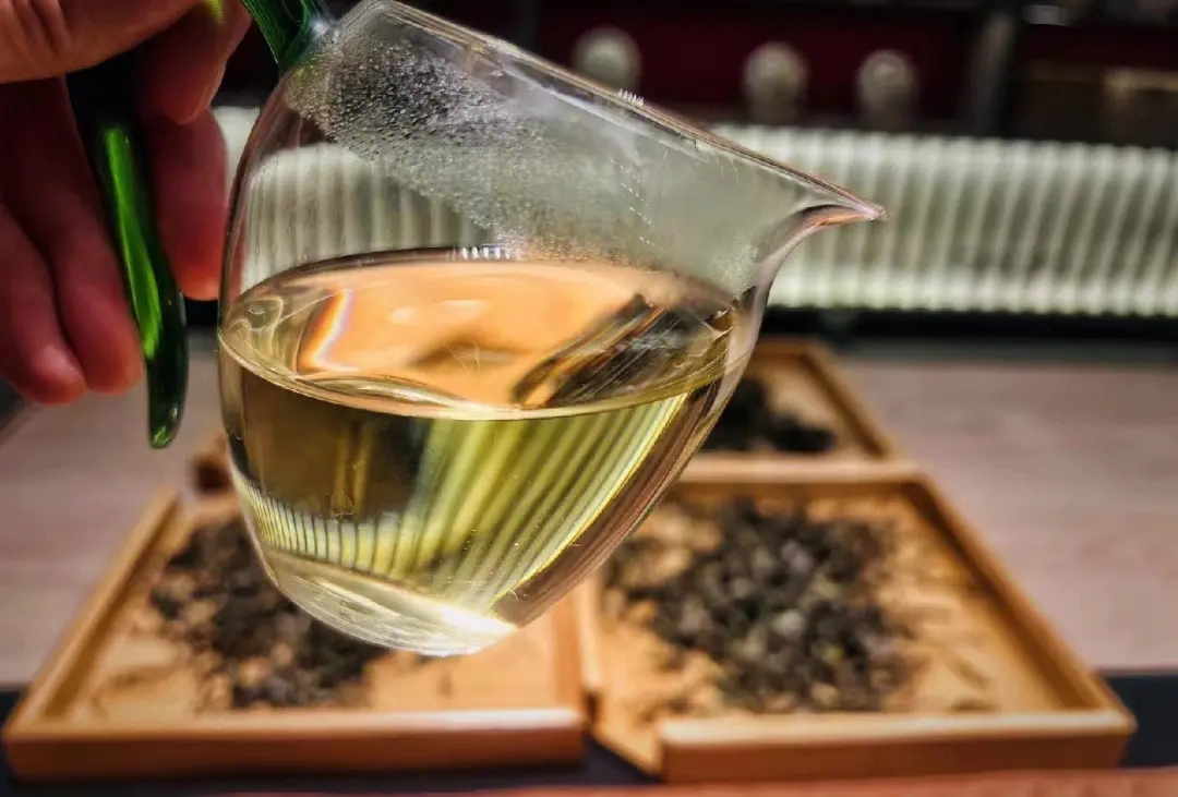 2023年鳳凰窩古樹春茶價(jià)格是多少？