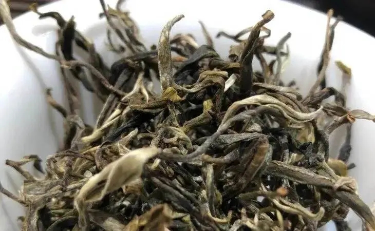 2023年鳳凰窩古樹春茶多少一公斤？