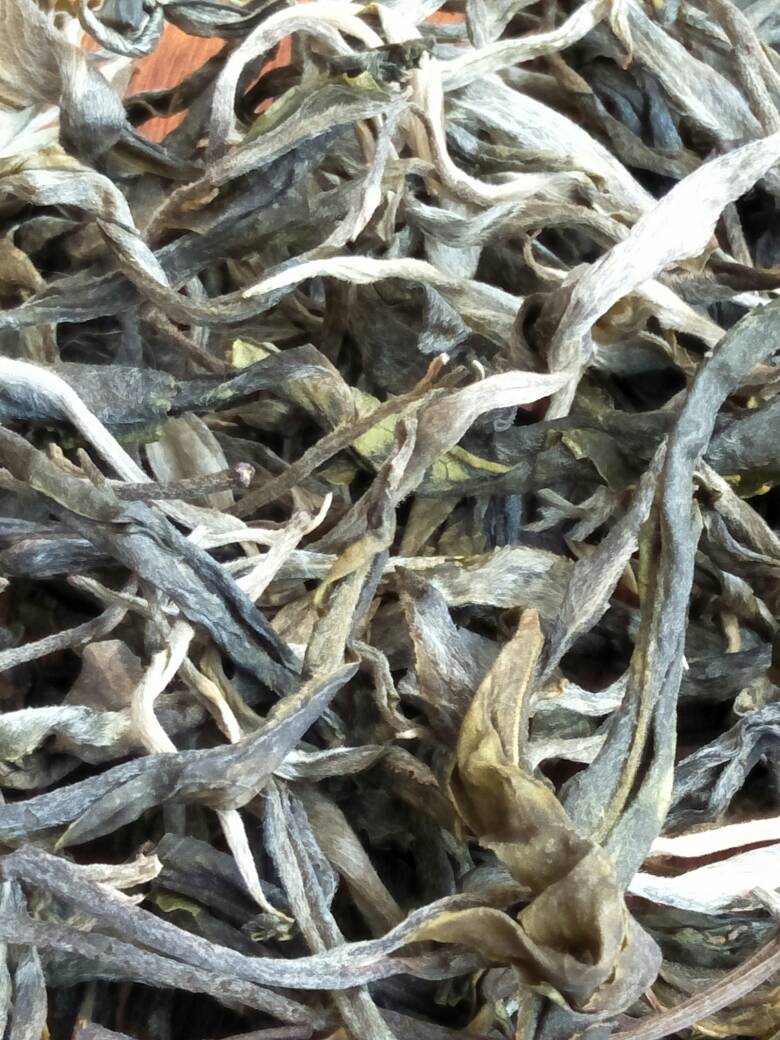 2023年壩歪古樹春茶價格是多少？