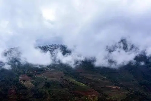 2023年勐庫(kù)大忠山古樹(shù)春茶口感如何？