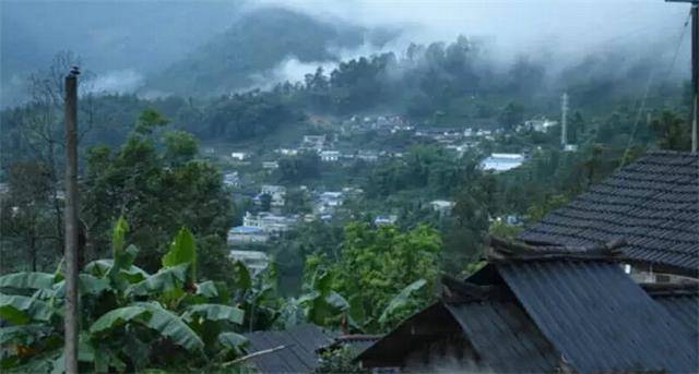 2023年勐庫(kù)豆腐寨古樹(shù)春茶口感怎么樣？