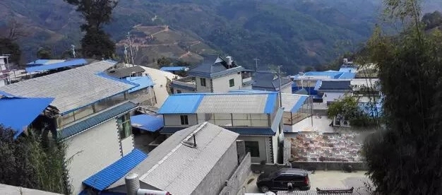 2023年勐庫(kù)豆腐寨古樹(shù)春茶多少一公斤？