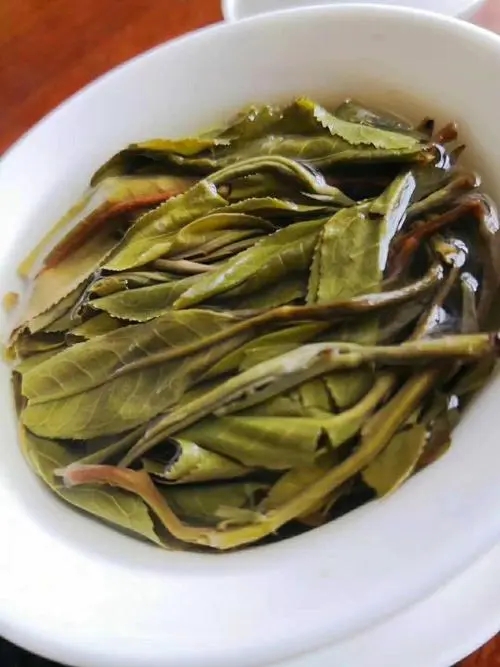 2023年鍋底塘古樹(shù)春茶特點(diǎn)是什么？