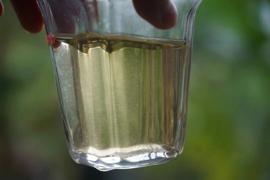 2023年多依樹古樹春茶價(jià)格是多少？