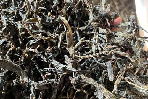 2023年鎮(zhèn)沅老烏山古樹春茶多少一公斤？