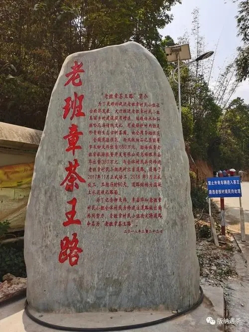 2024年老班章古樹春茶品質(zhì)如何？