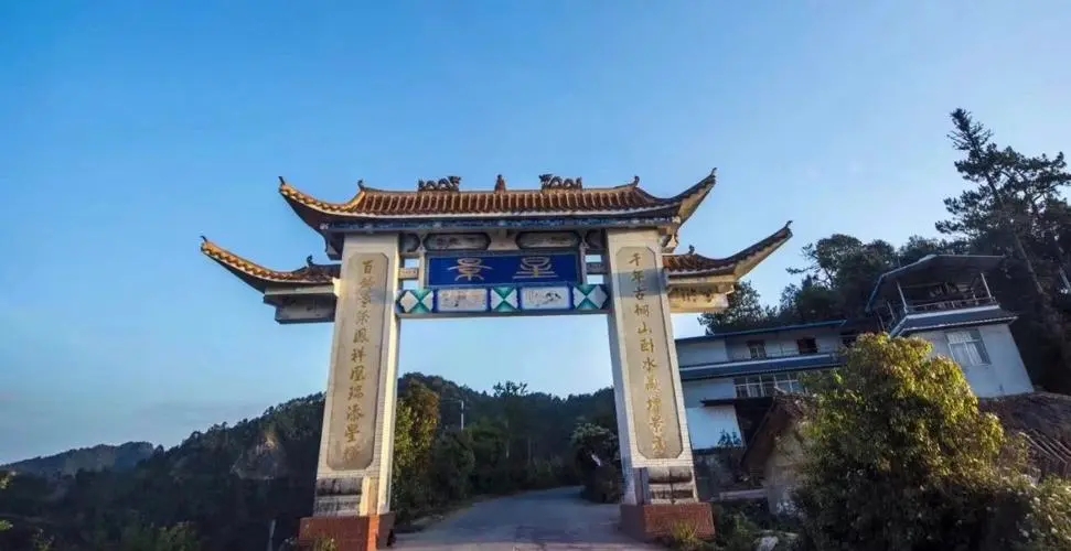 2024年墨江鳳凰窩古樹春茶特點(diǎn)是什么？