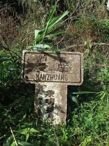 2025年蠻磚古樹春茶特點是什么？