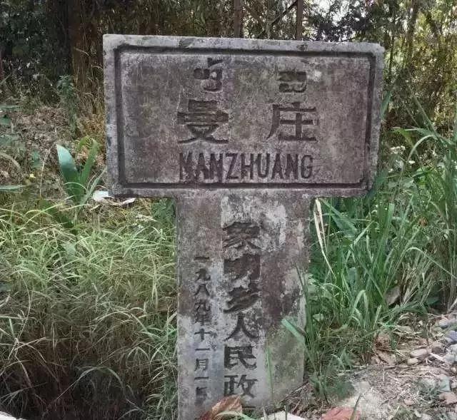 2025年蠻磚古樹春茶價格是多少？