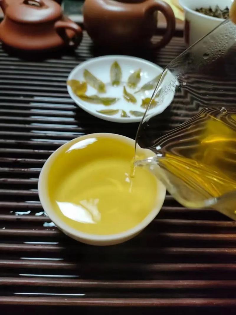 倚邦貢茶，甘甜醇柔